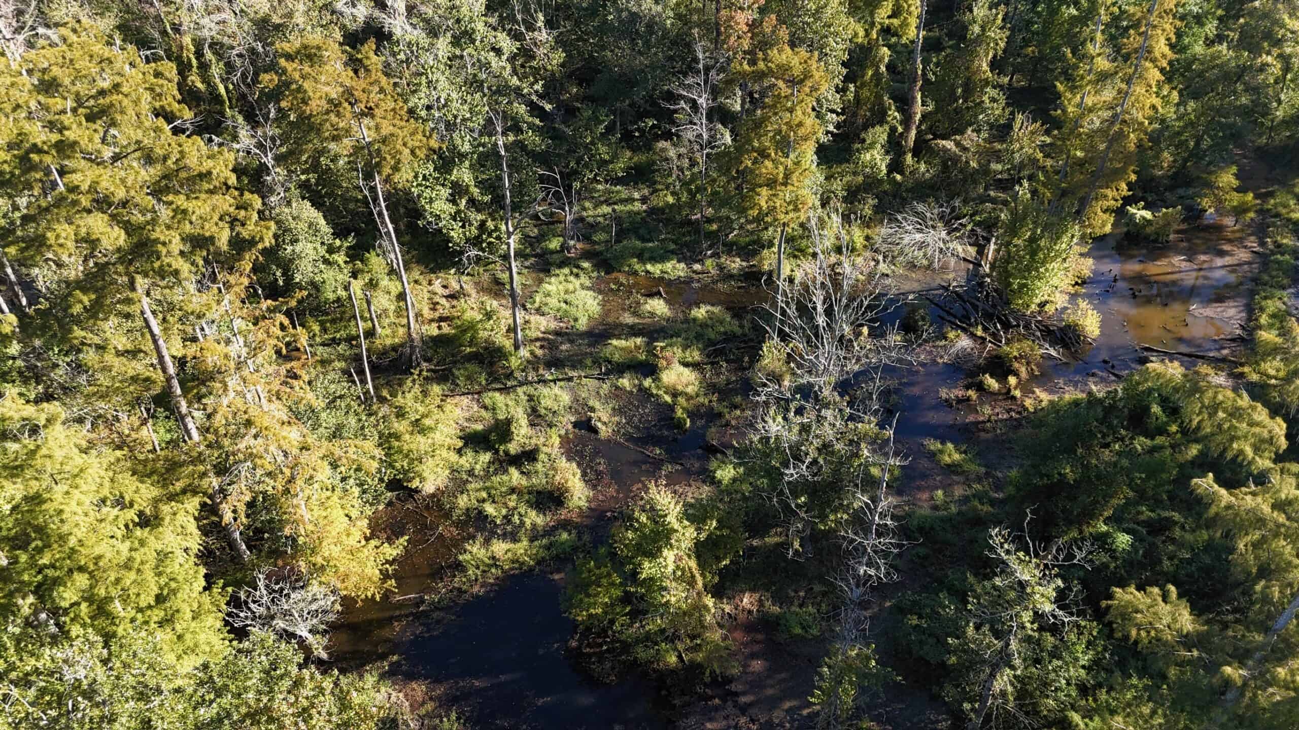 Hunting and Timberland Tract for sale in North Louisiana