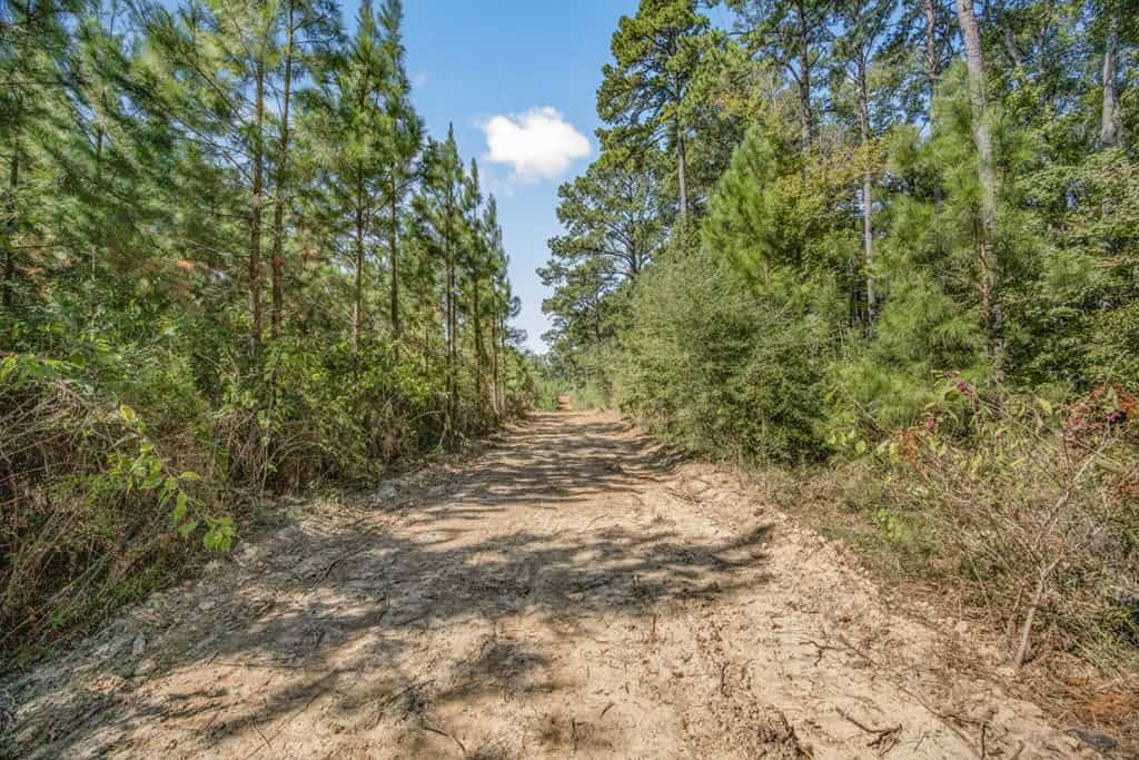 Affordable Hunting Property Adjoining National Forest
