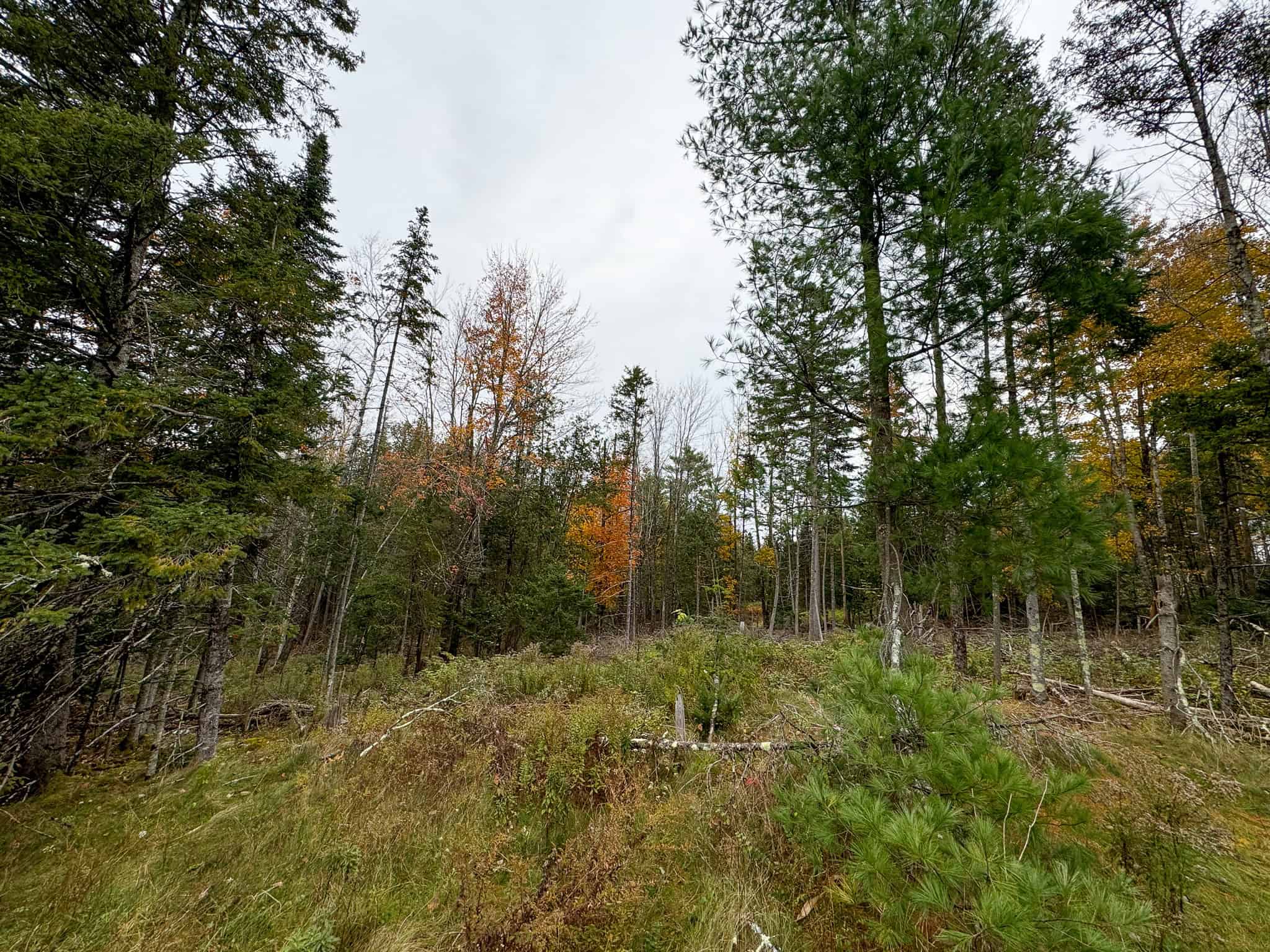 Homestead & Hunting Land in Central Maine