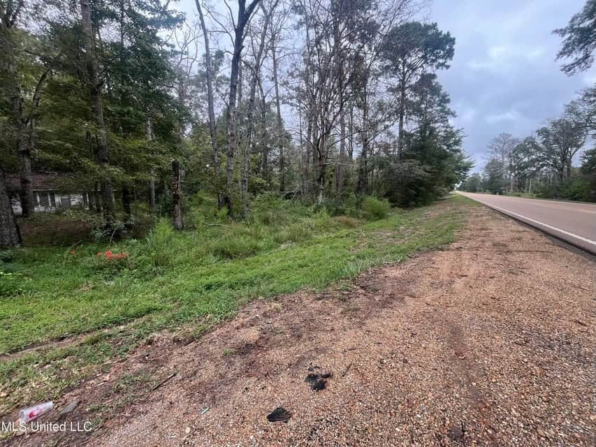 42 Acres for Sale with Old Country Home Scott Co MS
