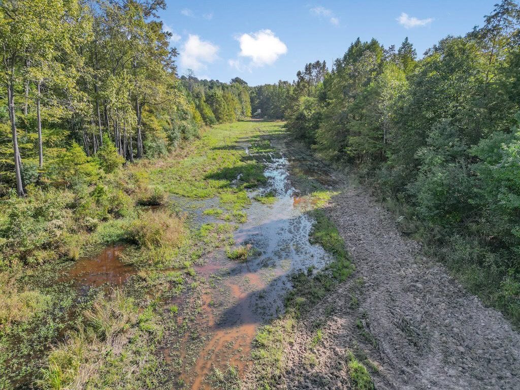Hunting and Timberland for Sale in Ouachita Parish, LA