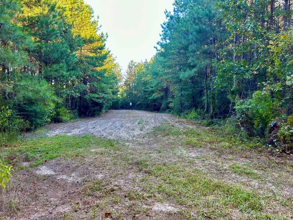 Smithdale MS 100+- Acres For Sale