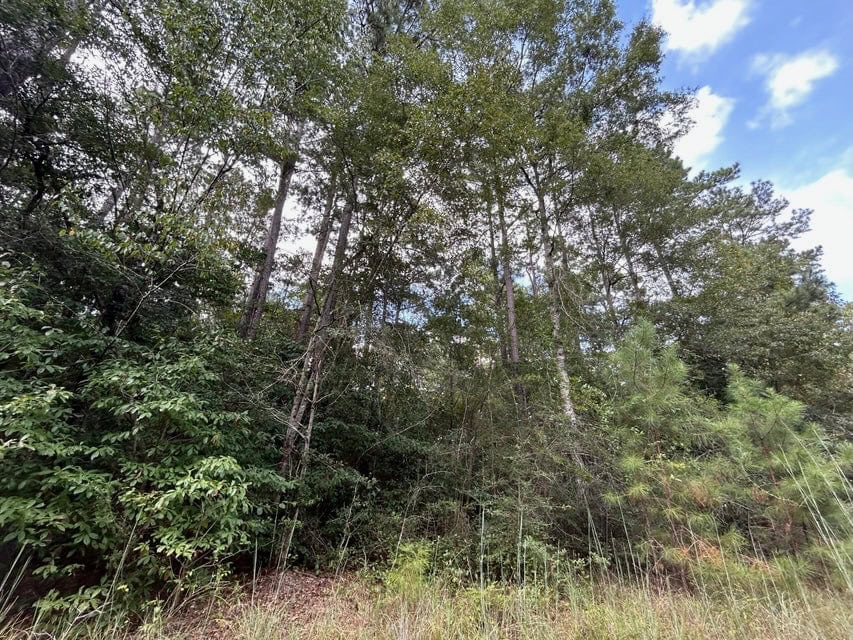 The Ideal 40 Acres