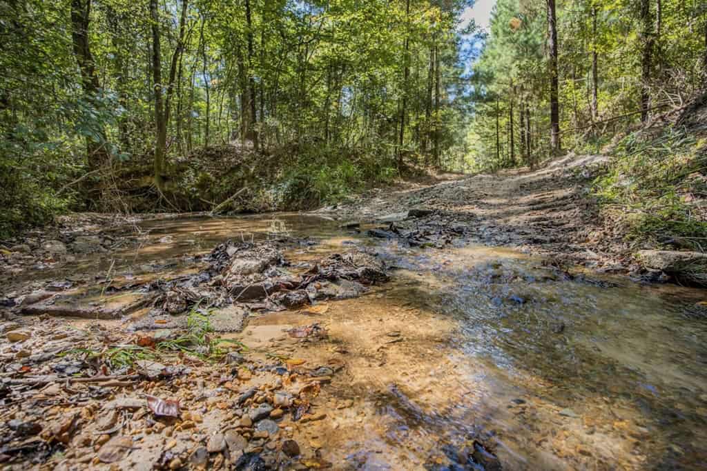Turnkey Property in Amite County Connected to Caston Creek
