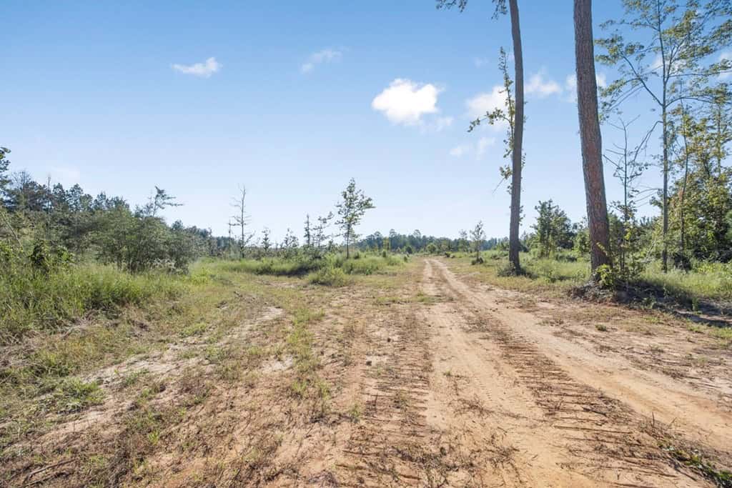 Small Hunting Tract in Amite County, MS