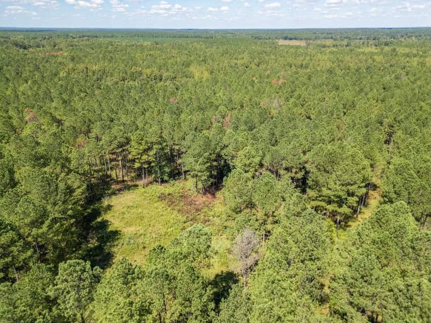 35 Acres For Sale Starkville MS
