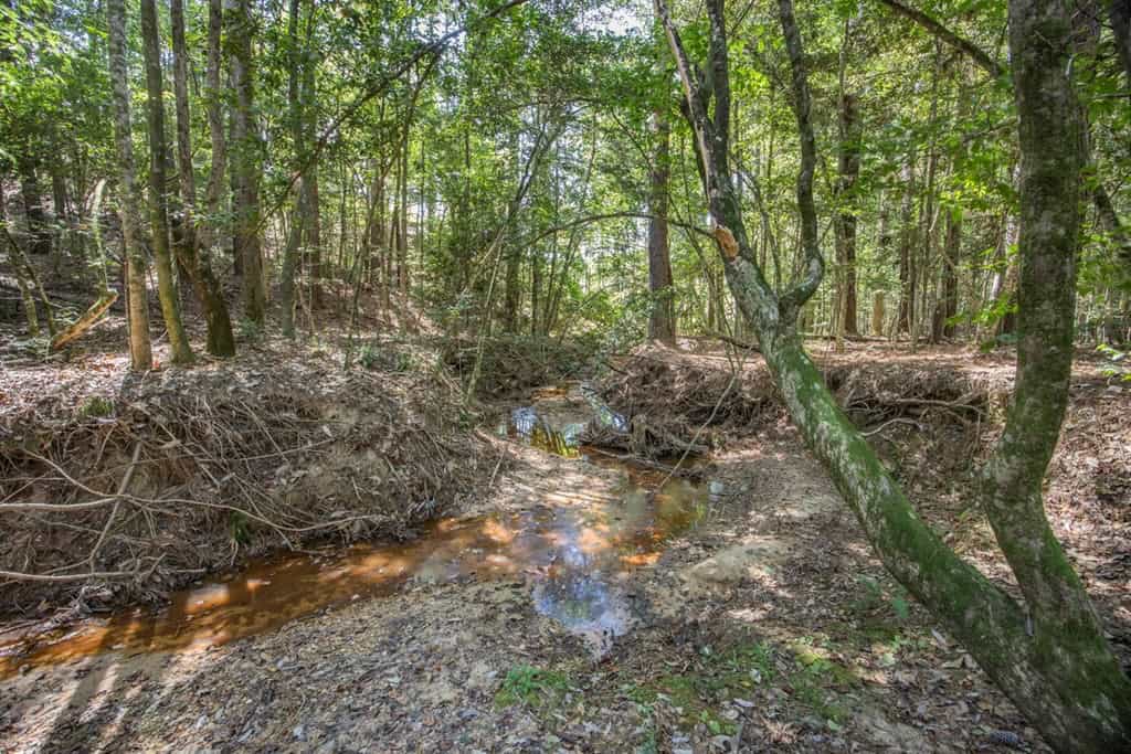 Turnkey Hunting Property Connected to Caston Creek WMA