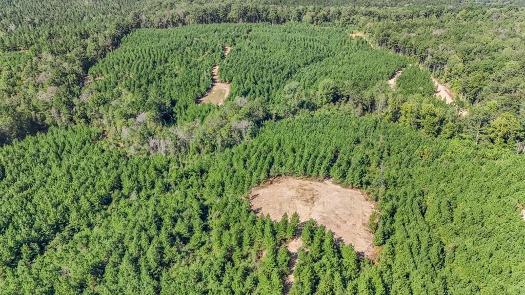 Franklin County Land Adjoining Homochitto National Forest