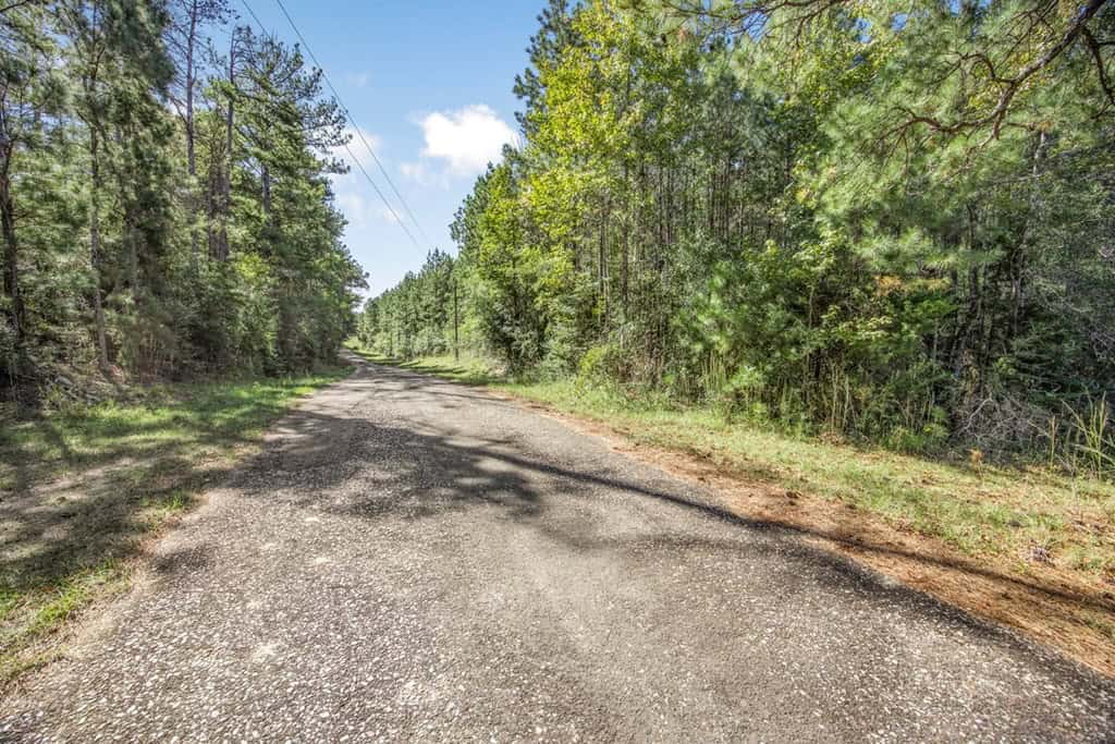 Affordable Hunting Property Adjoining National Forest