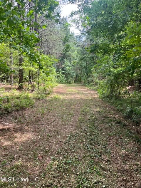 28 Acres in Hinds County