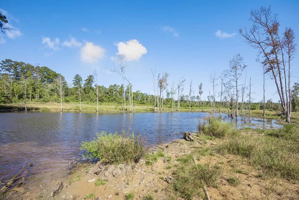 Small Hunting Tract in Amite County, MS