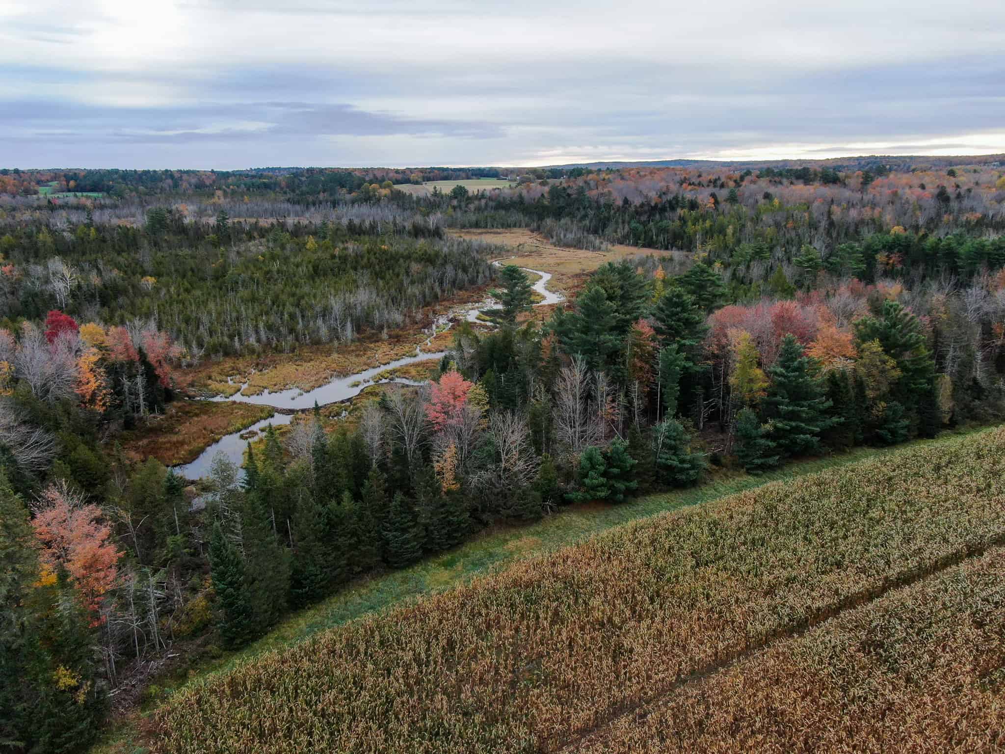 Homestead & Hunting Land in Central Maine