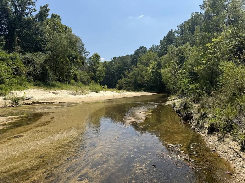 296 Acre Timberland for Sale with Creek Southwest MS