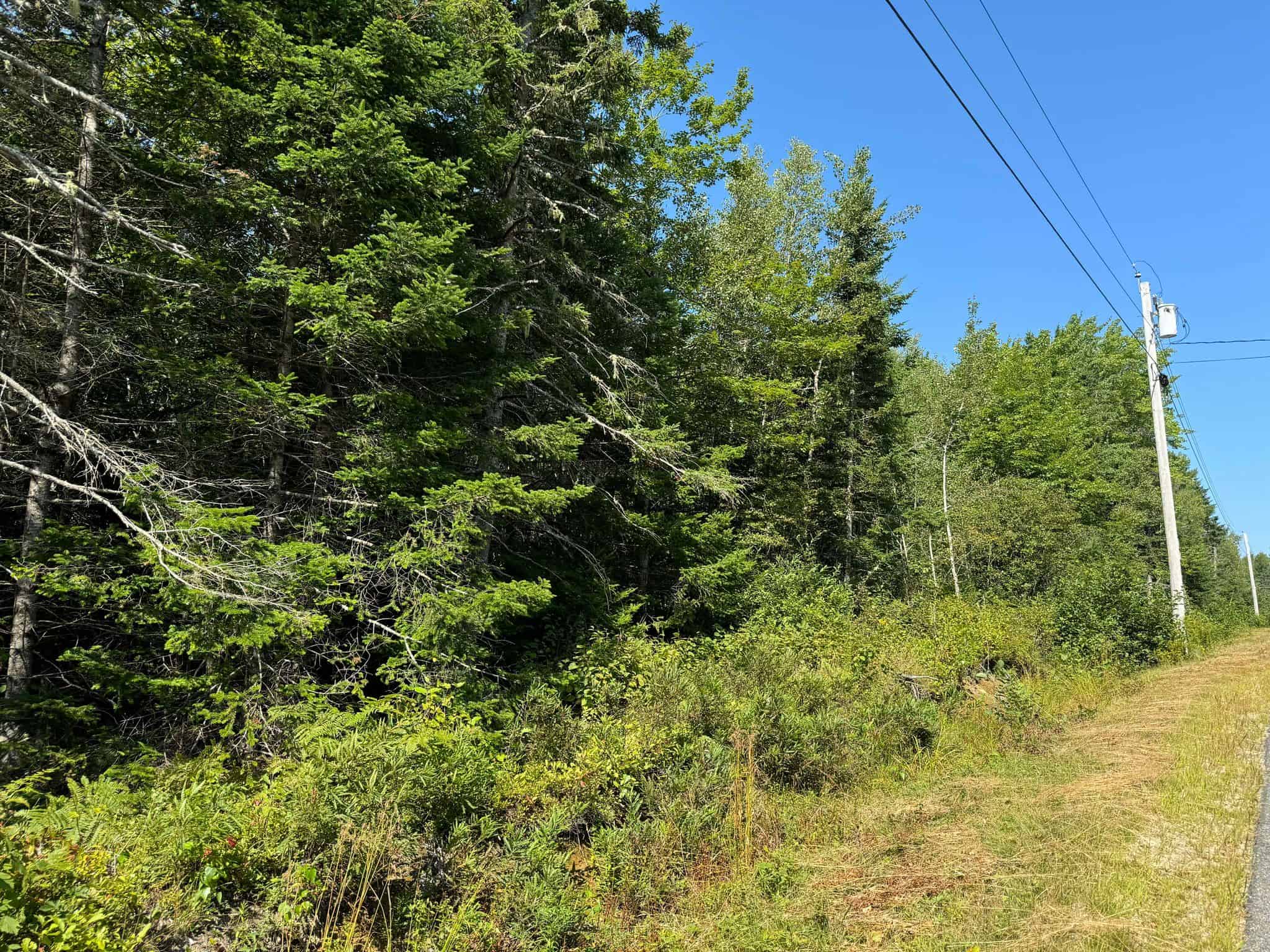 21 Acre Wooded Lot