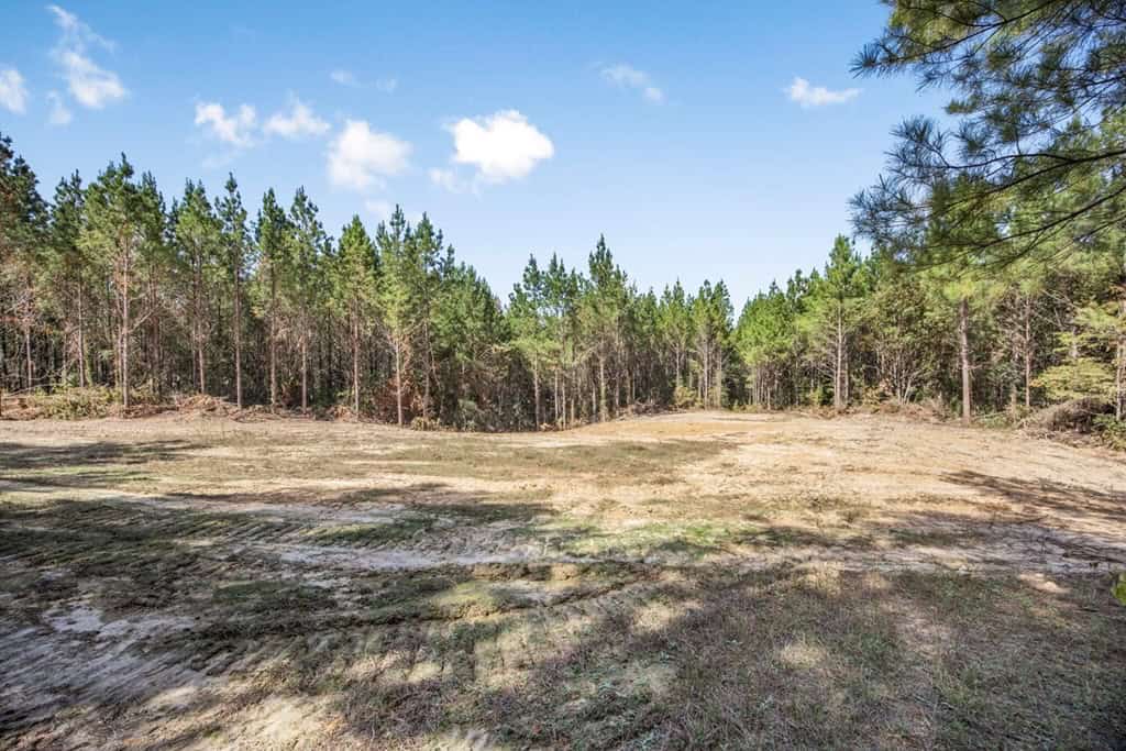 Turnkey Property in Amite County Connected to Caston Creek