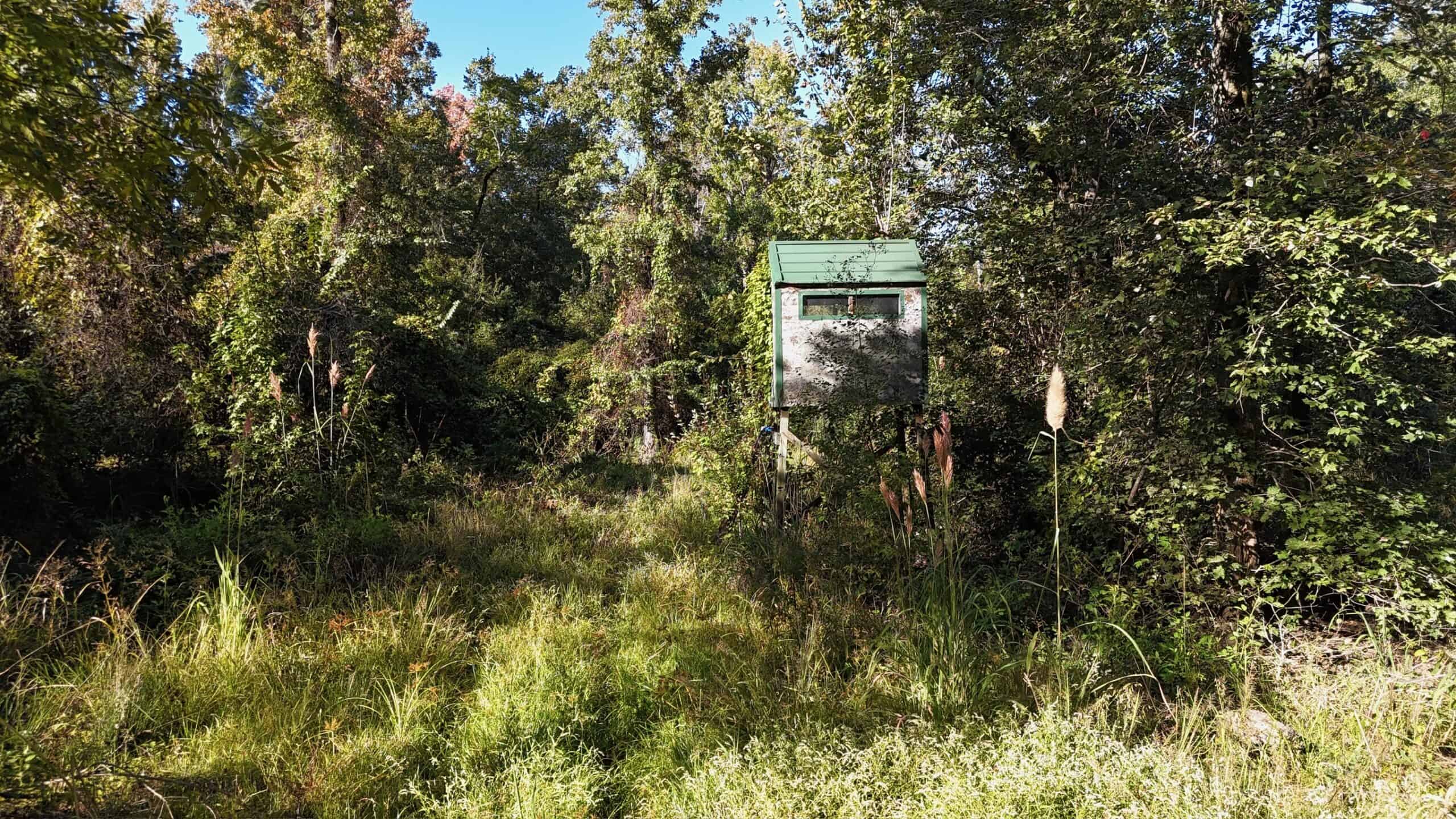 Hunting and Timberland Tract for sale in North Louisiana
