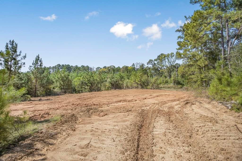 Affordable Hunting Property Adjoining National Forest