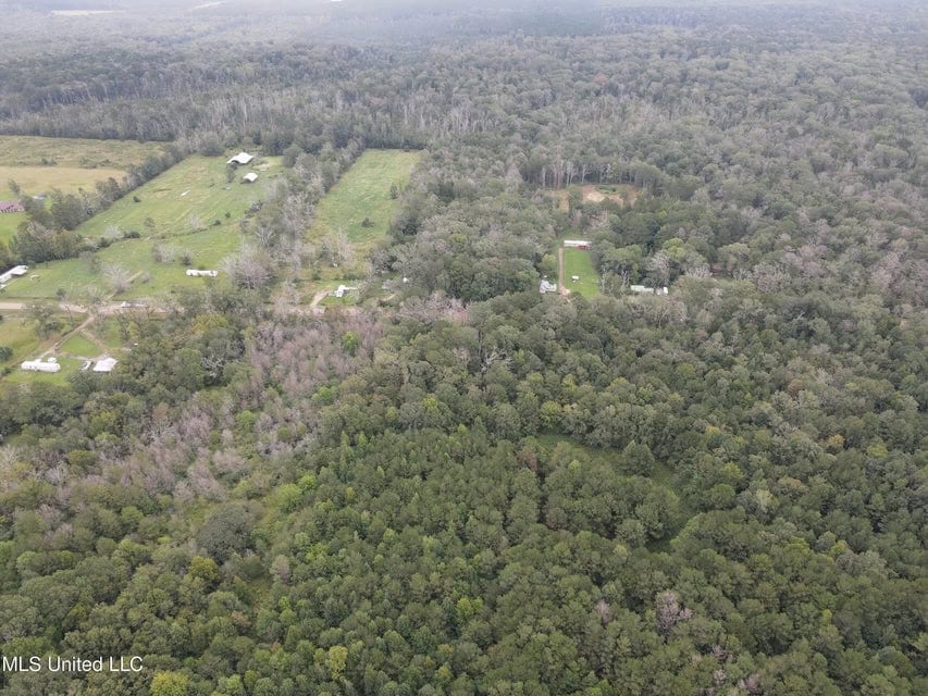 42 Acres for Sale with Old Country Home Scott Co MS