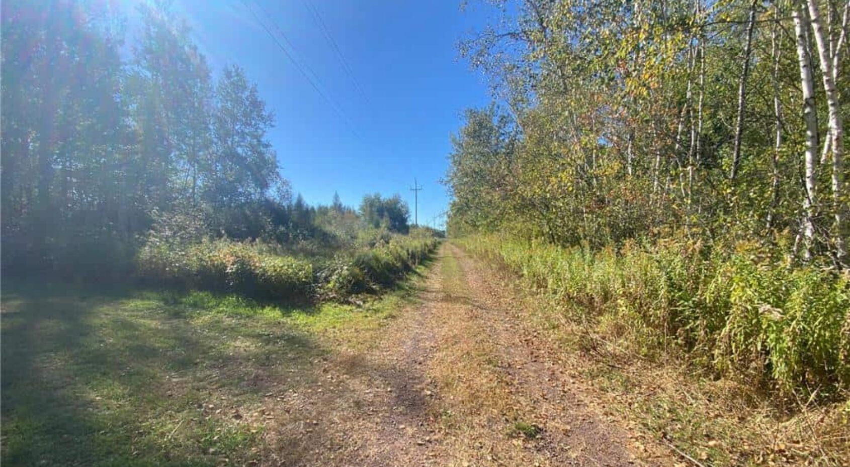 Hunting Land w/ Cabin, Ponds, Trails For Sale in Askov MN UC Hunting