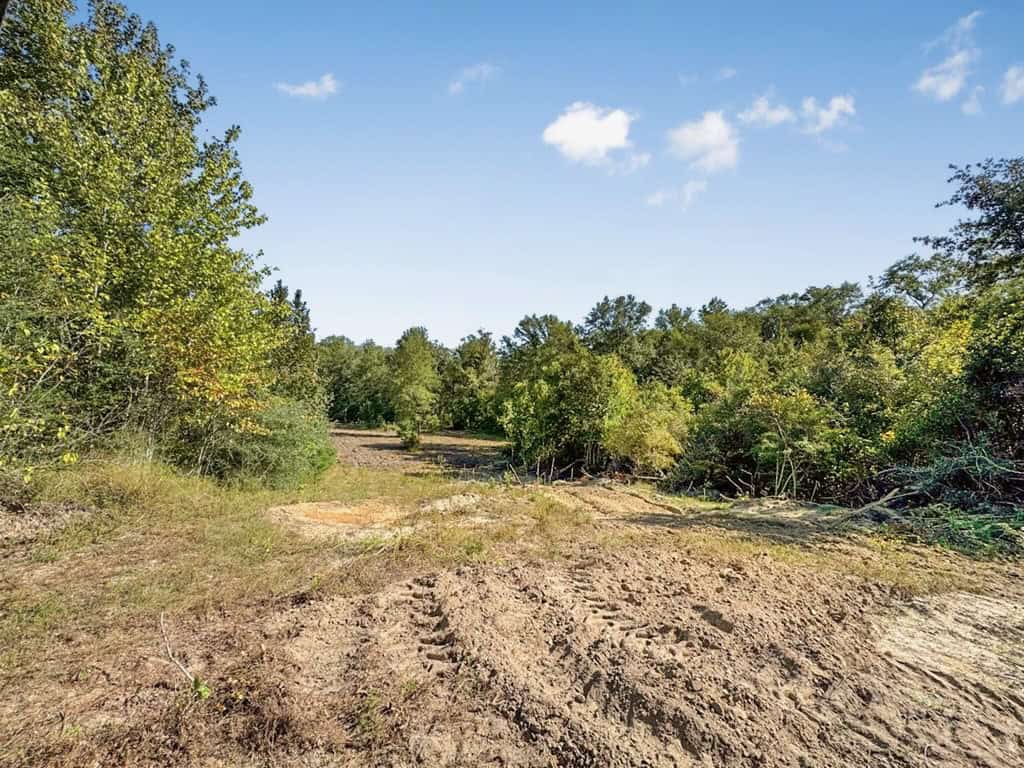 Hunting and Timberland for Sale in Ouachita Parish, LA