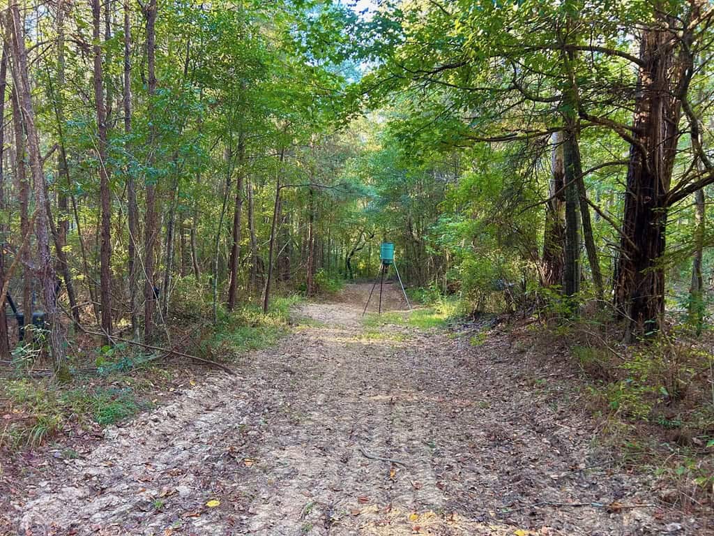 Smithdale MS 100+- Acres For Sale