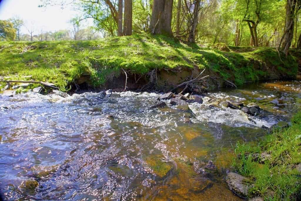 192 Acres of Land with 3 BR Hunting Lodge