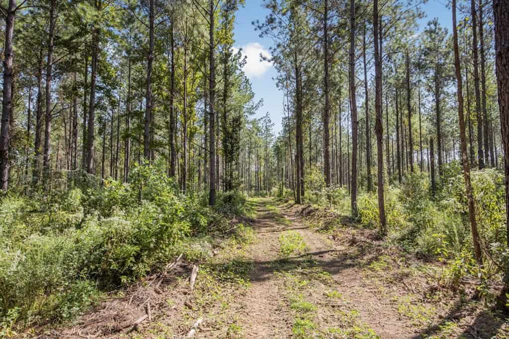 Turnkey Property in Amite County Connected to Caston Creek
