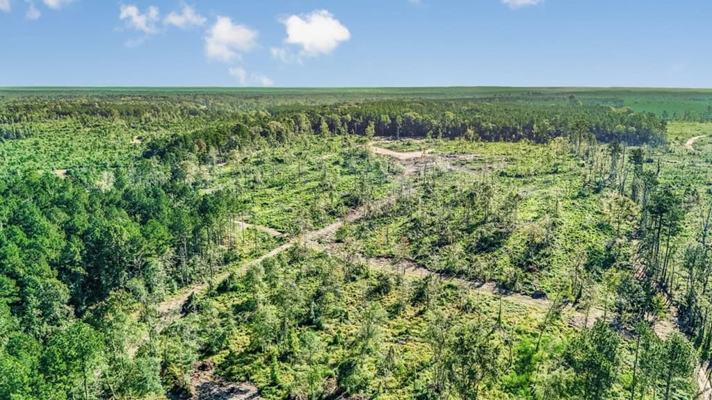 Small Hunting Tract in Amite County, MS