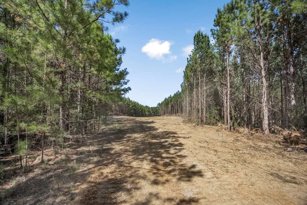 Turnkey Property in Amite County Connected to Caston Creek