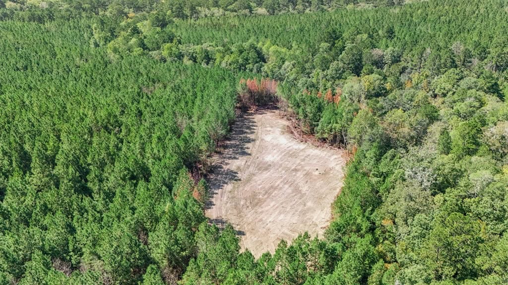 Turnkey Hunting Property Connected to Caston Creek WMA