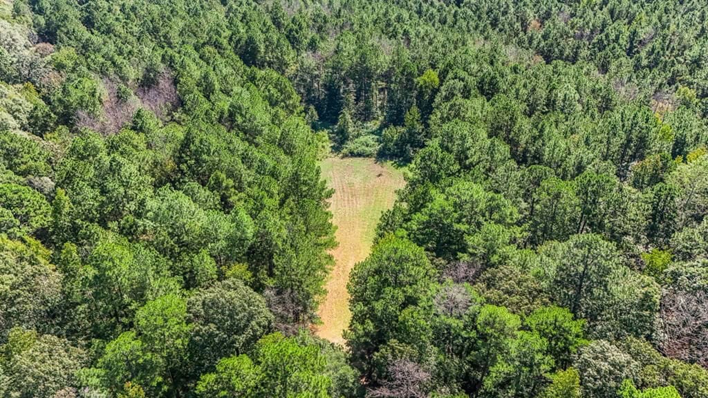 Affordable Hunting Property Adjoining National Forest