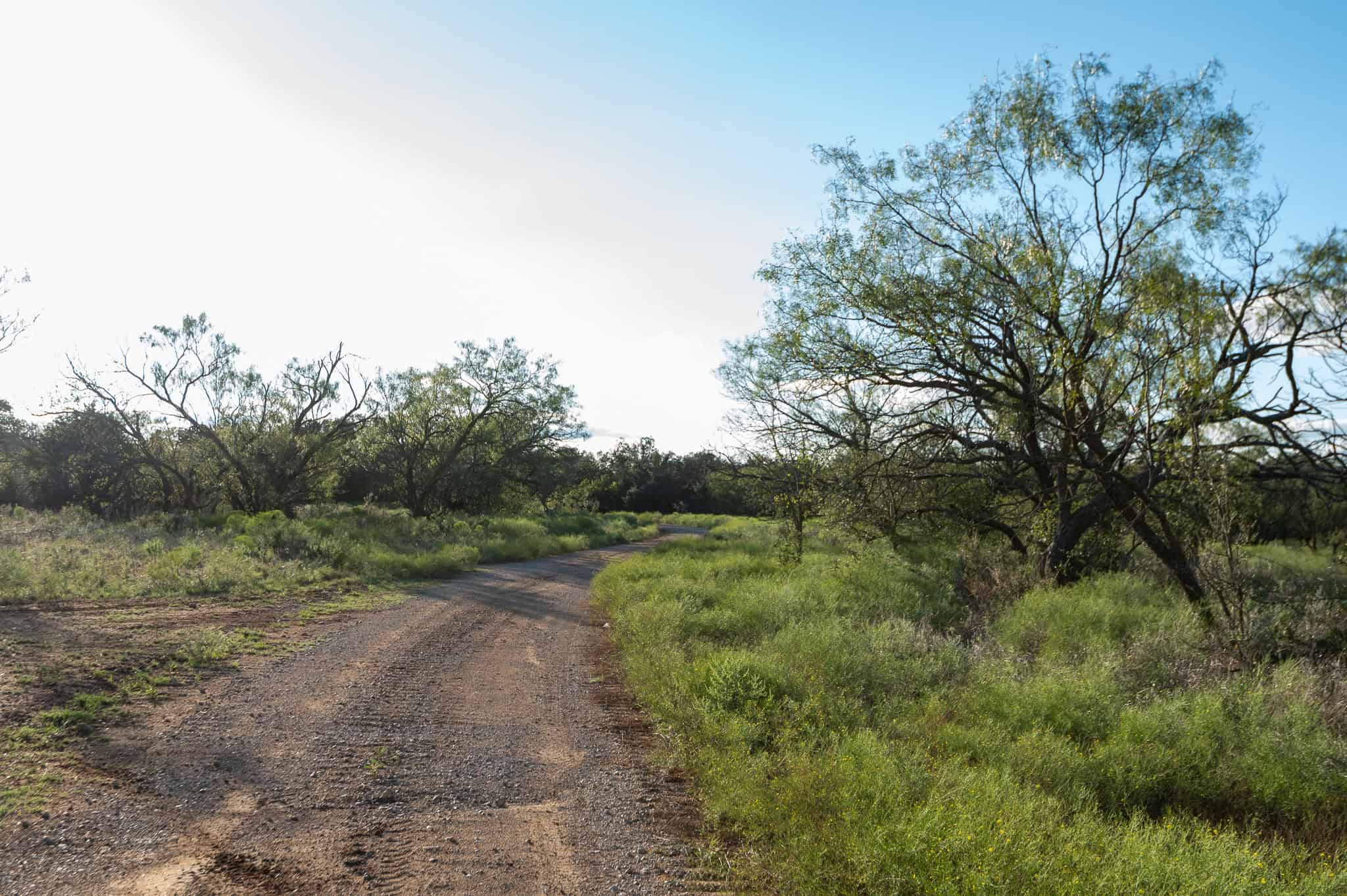 SOLD! Prime TX Hunting Property for Sale West of Fort Worth