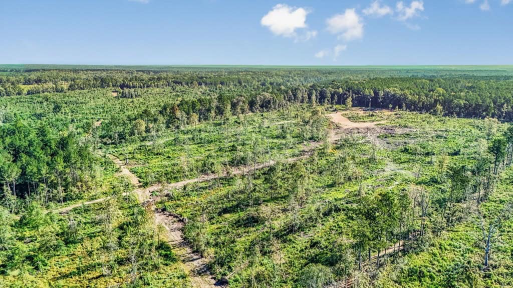 Small Hunting Tract in Amite County, MS