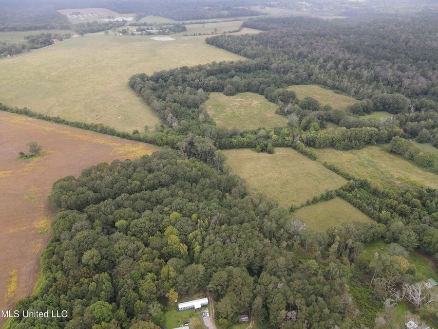 42 Acres for Sale with Old Country Home Scott Co MS