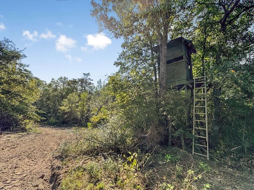 Hunting and Timberland for Sale in Ouachita Parish, LA