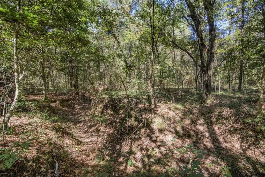 Turnkey Property in Amite County Connected to Caston Creek