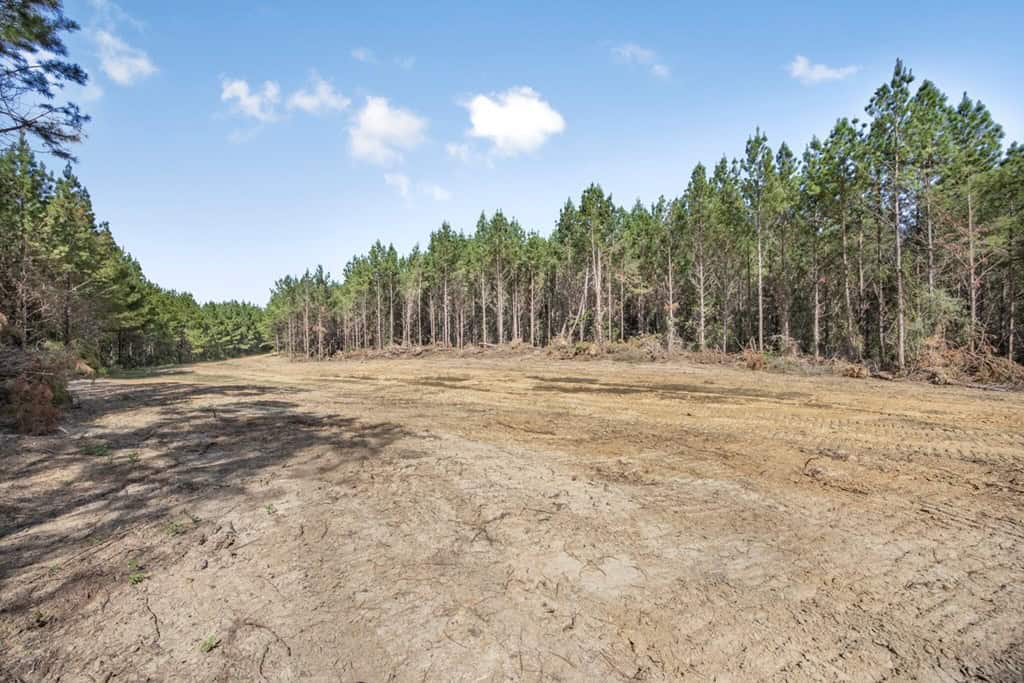 Turnkey Property in Amite County Connected to Caston Creek