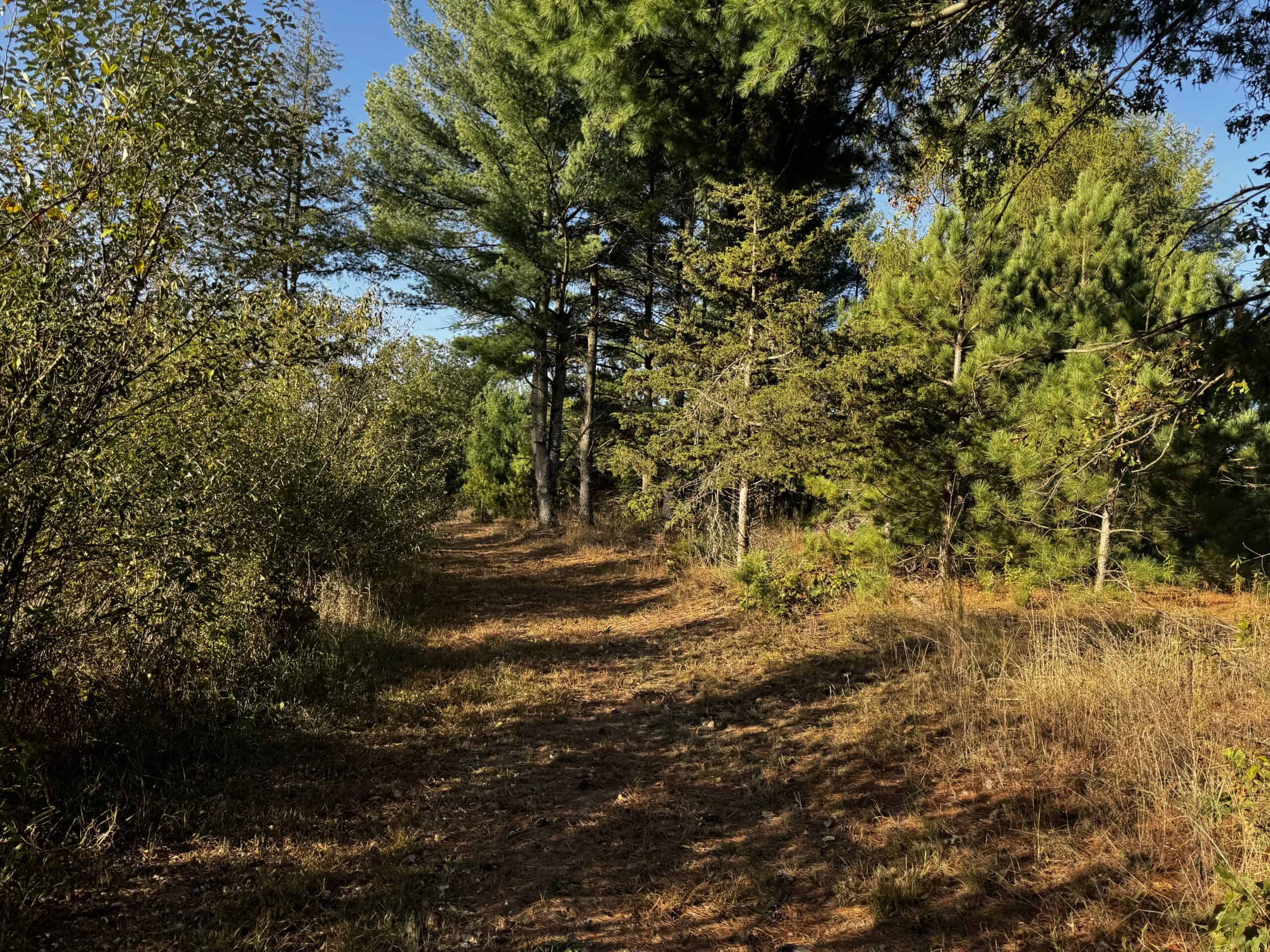 75 +/ Acres Just Minutes North of Wisconsin Dells WI UC Hunting