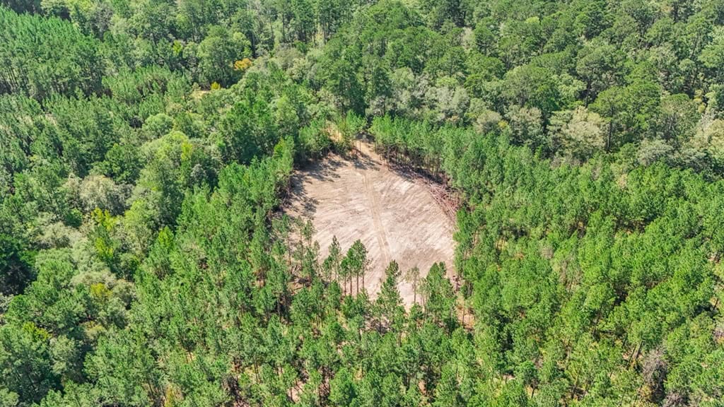 Turnkey Hunting Property Connected to Caston Creek WMA