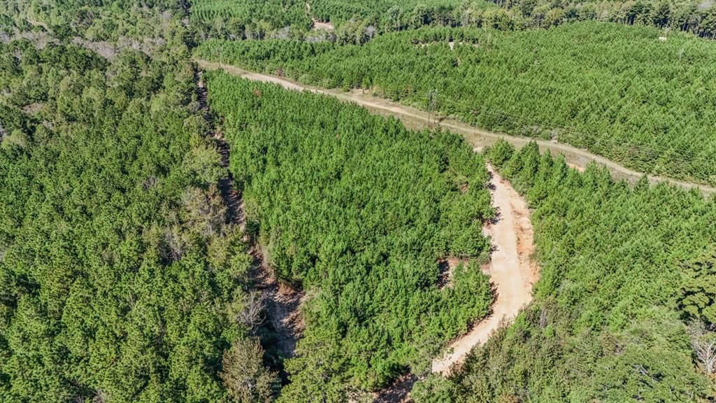Affordable Hunting Property Adjoining National Forest