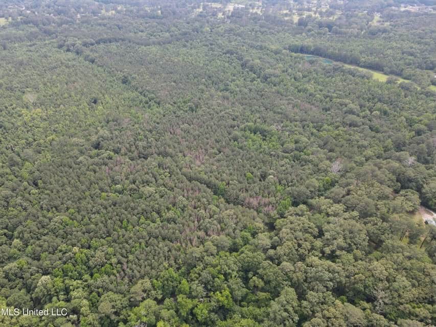 28 Acres in Hinds County
