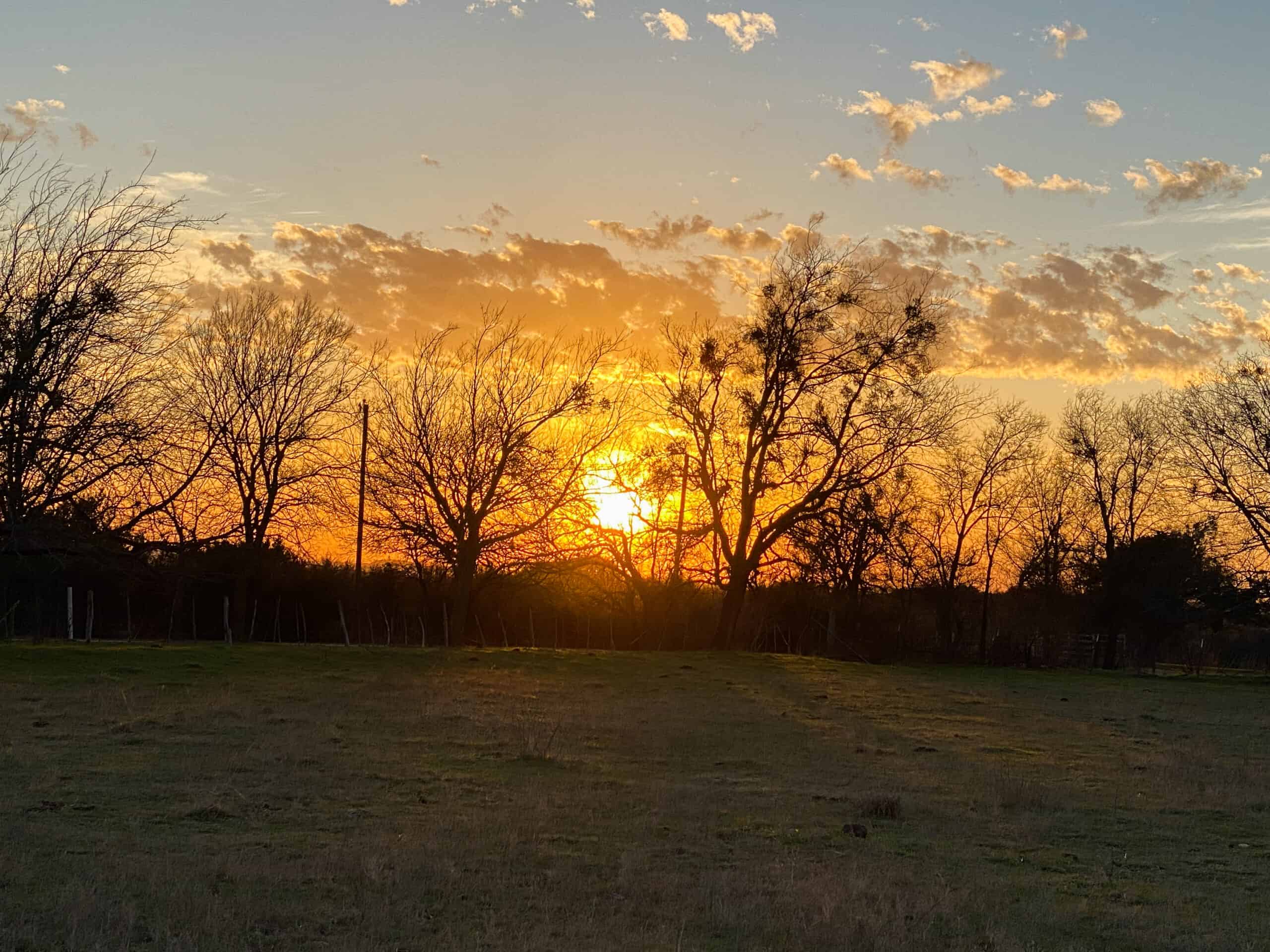 Central Texas 34.5-Acre Fenced Ranch for Sale – Perfect Custom Home Site