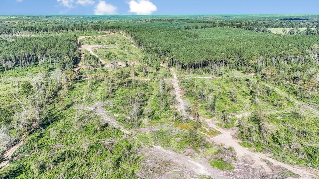 Small Hunting Tract in Amite County, MS