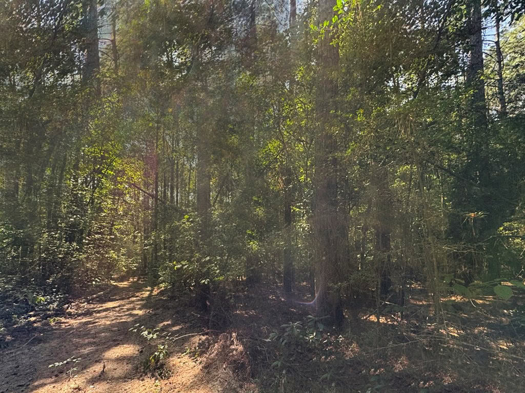 Hunting and Timberland for Sale in Ouachita Parish, LA