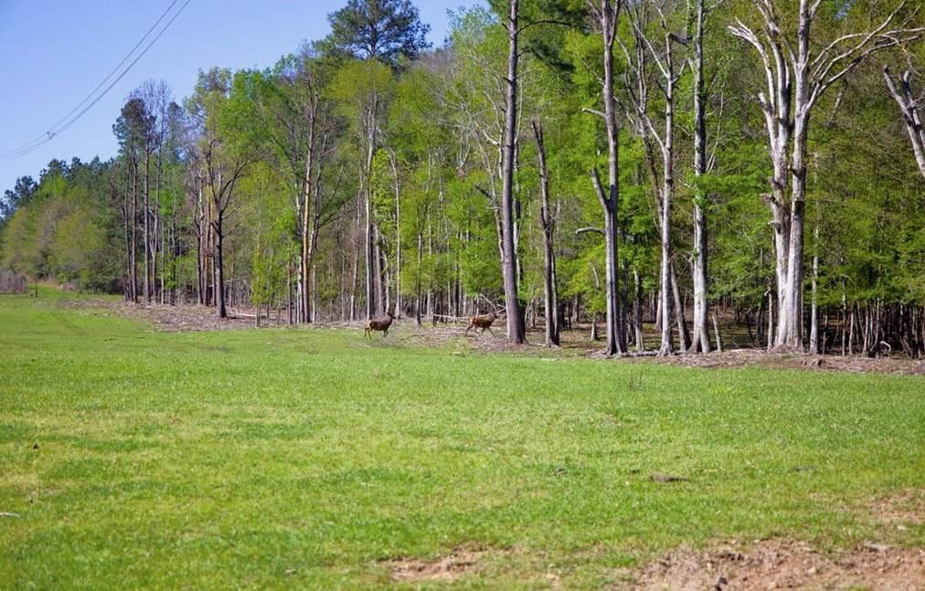 192 Acres of Land with 3 BR Hunting Lodge