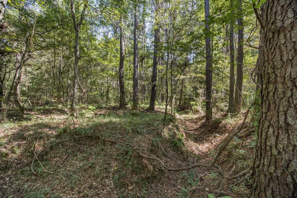 Turnkey Property in Amite County Connected to Caston Creek