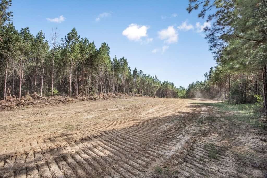 Turnkey Property in Amite County Connected to Caston Creek