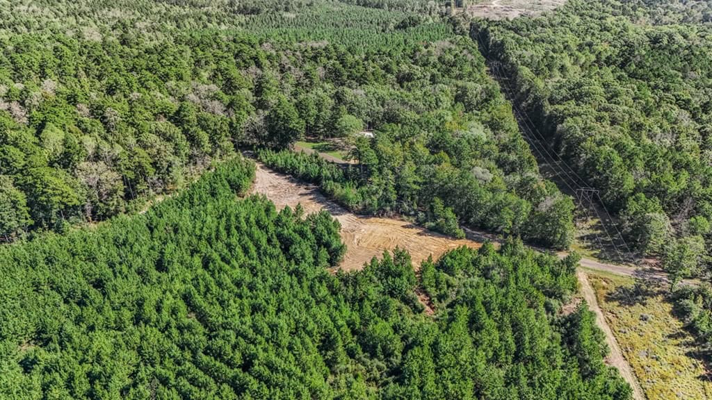 Affordable Hunting Property Adjoining National Forest