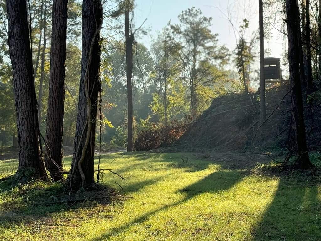 296 Acre Timberland for Sale with Creek Southwest MS