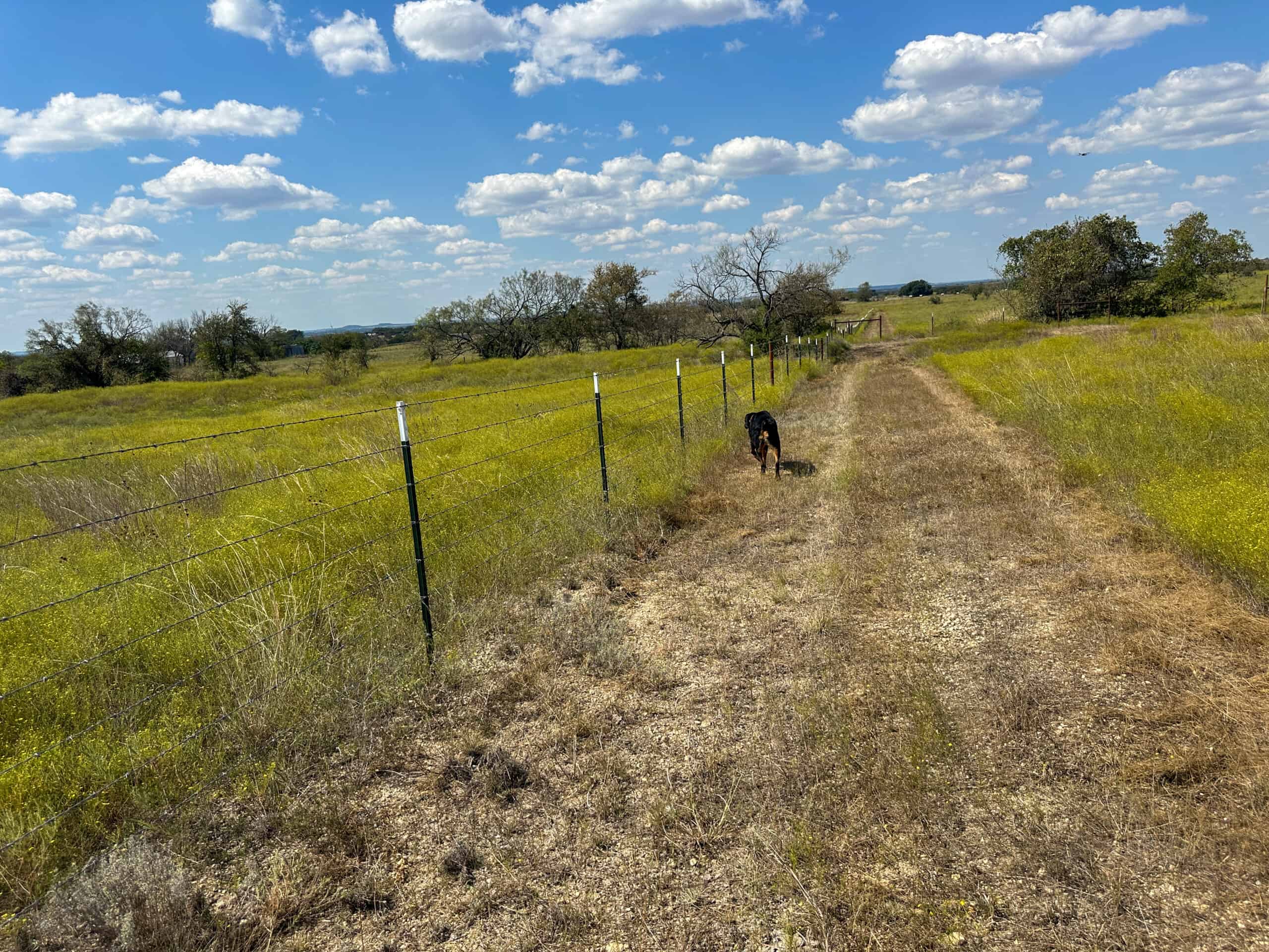 Central Texas 34.5-Acre Fenced Ranch for Sale – Perfect Custom Home Site